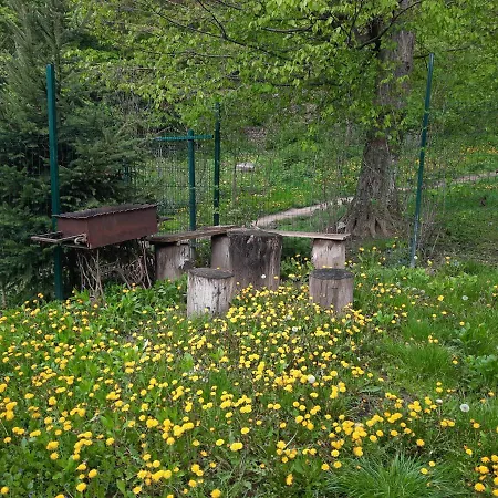 Orman Evi комфортный Karpaty