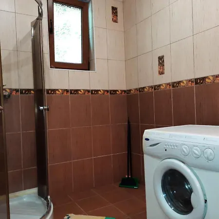 Деревянный коттедж комфортный Карпаты