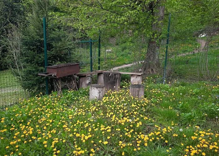 Hytte комфортный Karpaty